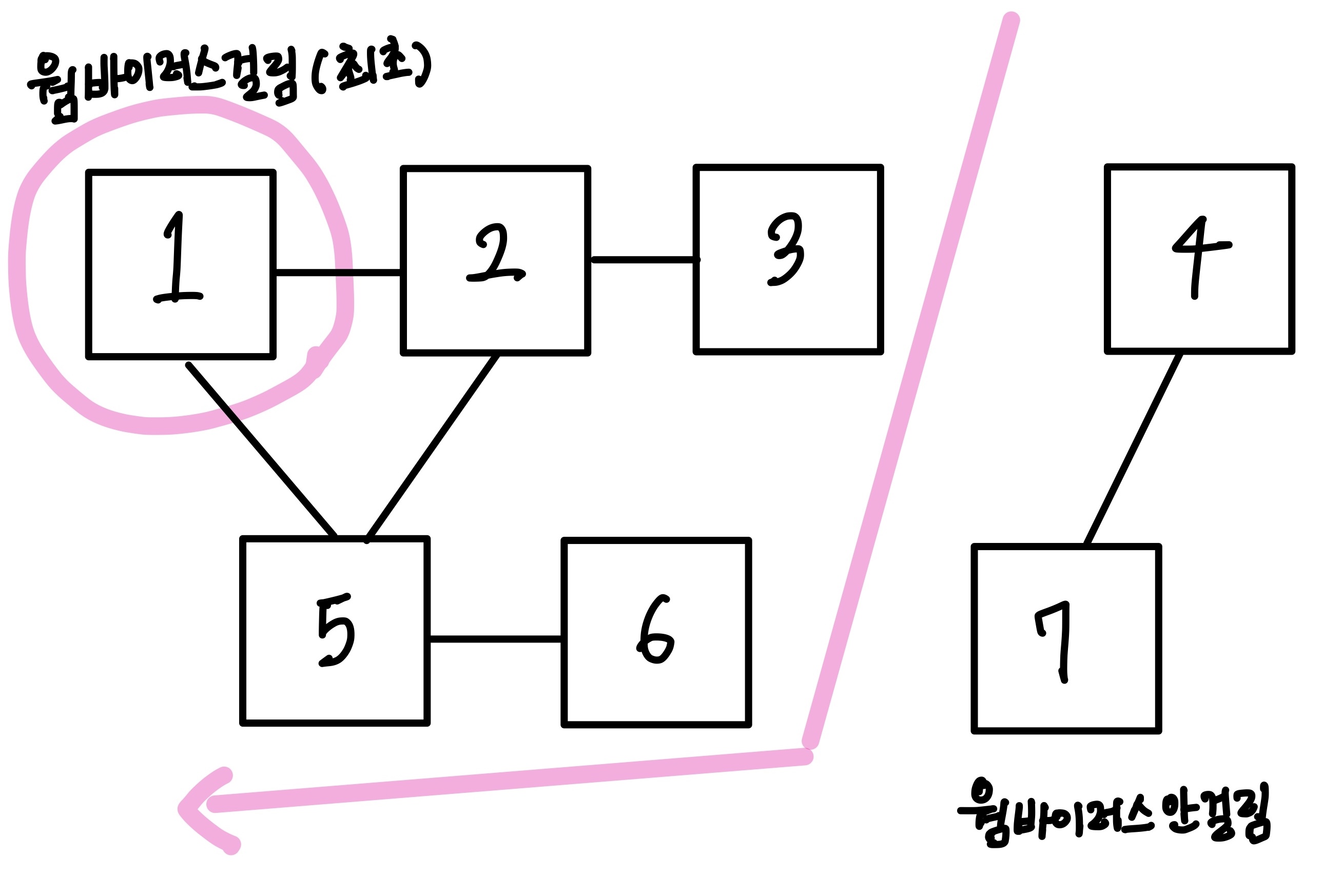 웜바이러스 그래프